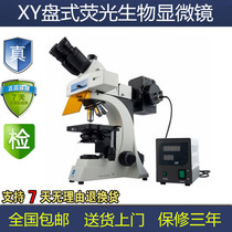 XY disc fluorescence biological microscope Trinity fluorescence biological microscope