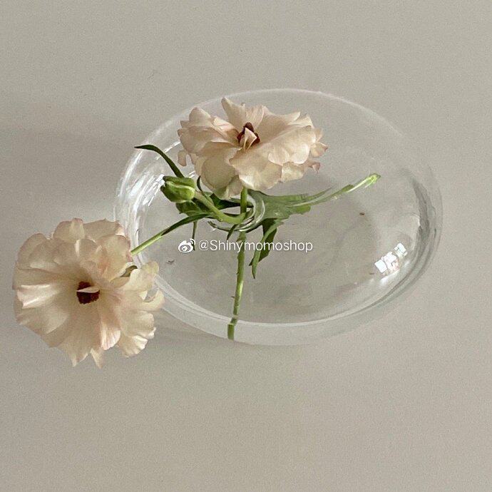 Shinymomo French Glass Vase Transparent Spherical Round Bottle French Glass Ball