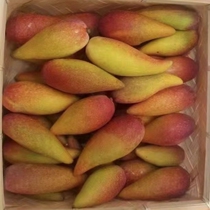 The tree cooked pepper manifesto Hainan specialty fresh fruit Sanya Guizu Man picked 5 kg natural crop this season