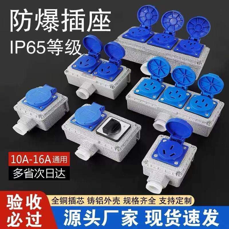 Explosion-Proof Socket 220V Five-Hole Surface-Mounted 10A/16A Concealed Ex86 Type Industrial Waterproof Three-Hole Power Strip