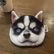 Cat Fan Bản gốc Dog Coin Purse Nữ Mini Dễ thương Sinh viên Hàn Quốc Vải Hand Lấy Coin Bag Gói thẻ