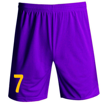 2025 Chinese Super League Tianjin Jinmen Tiger Purple Shorts Jersey Set Training Casual Shorts