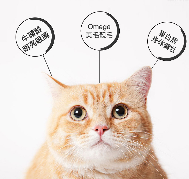 Miao tươi tươi hơn thịt mèo đóng hộp súp đồ ăn nhẹ thức ăn ướt đa hương vị trộn và dán đồ ăn nhẹ mèo phổ quát 170g - Đồ ăn nhẹ cho mèo felipro