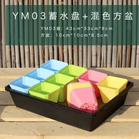YM03+смешанный цвет 10 квадратных горшков 12