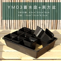 12 из YM03+черные 10 см. Квадратные горшки 12