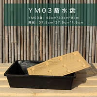 YM03 Саженцы 1