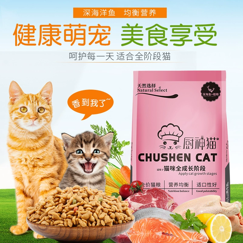 Táo quân Thức ăn cho mèo Thức ăn cho mèo Người lớn Thức ăn cho mèo 2,5kg Cá hồi biển sâu 5 kg Thức ăn cho mèo Stray Thức ăn cho mèo 10 Thức ăn chủ yếu - Cat Staples