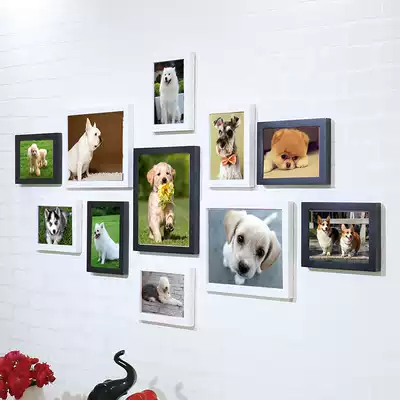 Cute pet photo wall Cat and dog pet shop photo wall Pet supplies store hanging picture frame home living room photo wall