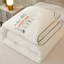 Simple autumn and winter quilt quilt quilt core can be washed in winter thickened warm and cold-proof quilt single double Four Seasons Universal