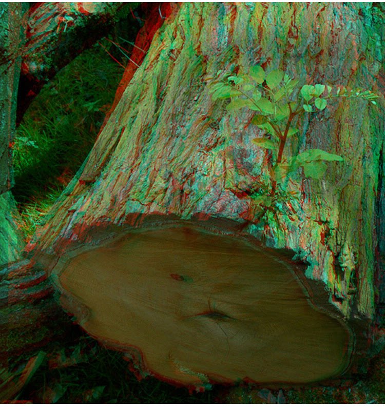 Lunettes 3D OULAIOU    - Ref 2621230 Image 12