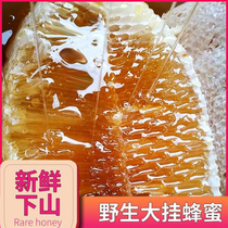 Yunnan wild big hanging honey pure natural tree hanging honey big row Honey Honey nest honey chew eat small hanging honey