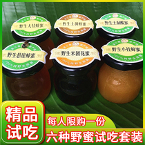 6 Kinds of Yunnan Wild Honey boutique meal meal Sour Honey Rice Group flower Black Honey cliff honey small hanging Big hanging soil cave honey