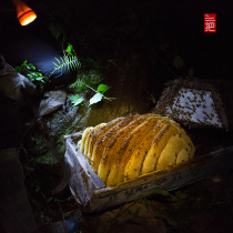 @Jiang Wenhan Sichuan Zhong Bee honey hundred flower honey Alpine forest hundred flower honey Lair honey Crystalline honey Raw honey