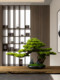 New Chinese-Style Artificial Welcoming Pine Tree Living Room Decoration Tabletop Green Plant Fake Tree Bonsai Entrance Hall Arborvitae Soft Decoration Fake Pine Tree