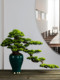 Chinese-Style Floor-Standing Artificial Welcoming Pine Tree, Fake Tree for Entrance, Hotel Lobby, Green Plant, Tv Cabinet Decoration Plant, Large Ornament