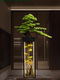 New Creative Artificial Welcoming Pine Bonsai Ornament with a Zen-Inspired Design for Living Room, Chinese-Style Hotel Entrance, Landscape Decoration, and Soft Furnishings