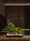 Chinese-Style Artificial Welcoming Pine Green Plant Landscaping Ornament Living Room Bonsai Office Indoor Potted Plant Entrance Table Decoration