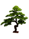 Artificial Welcoming Pine Tree Office Living Room Decoration Fake Tree Hotel Entrance Green Plant Decoration Beauty Pine Opening Gift