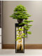 Artificial Welcoming Pine Tree, Fake Green Plant, Floor-Standing Ornament, Hotel Clubhouse Entrance Decoration, Pine Tree, Living Room, Arborvitae Soft Decoration
