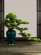 Chinese-Style Floor-Standing Artificial Welcoming Pine Tree, Fake Tree for Entrance, Hotel Lobby, Green Plant, Tv Cabinet Decoration Plant, Large Ornament