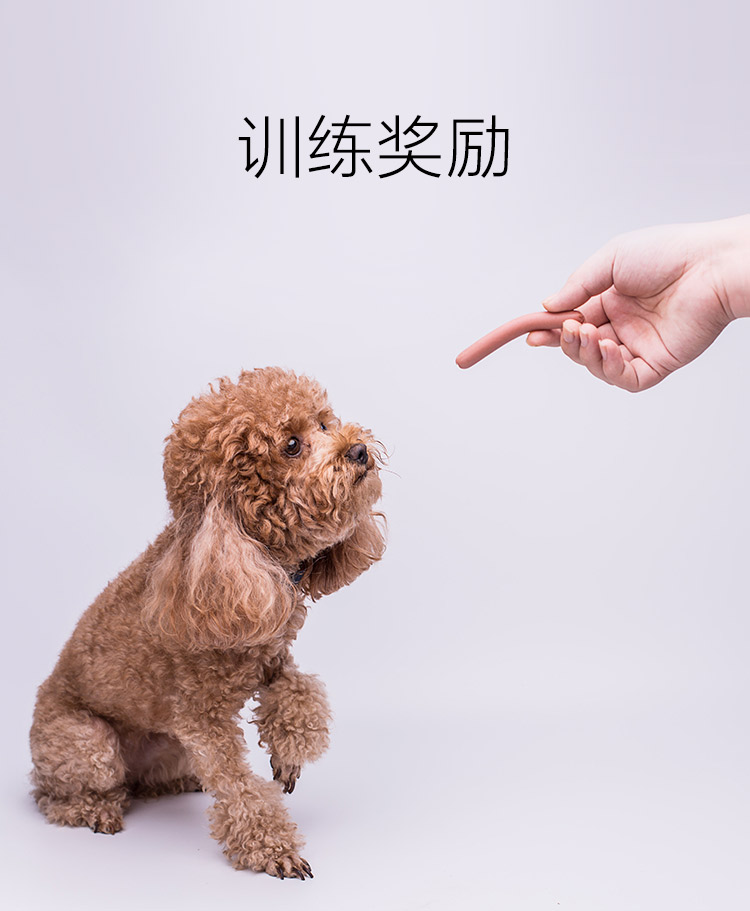 Thú cưng ăn thịt chó giăm bông giò chả xúc xích gà que Thú cưng ăn nhẹ khẩu phần chó 30 / gói làm sạch răng cắn thức an cho chó