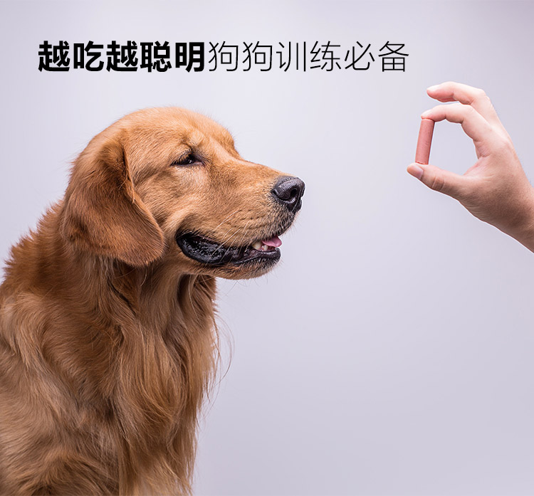 Thú cưng ăn thịt chó giăm bông giò chả xúc xích gà que Thú cưng ăn nhẹ khẩu phần chó 30 / gói làm sạch răng cắn thức an cho chó