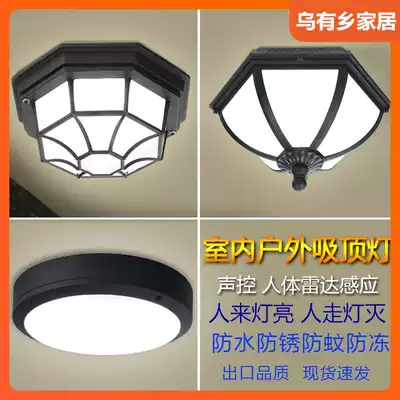 Induction ceiling light Outdoor waterproof door Outdoor courtyard Balcony light Garage stairs Aisle sound and light control led
