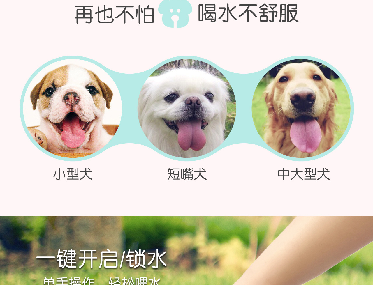 Cốc chăm sóc thú cưng kèm theo cốc ngoài trời ấm nước uống đài phun nước Teddy mèo uống vòi nước cầm tay chai nước cung cấp bát - Cat / Dog hàng ngày Neccessities Máng thức ăn cho chó
