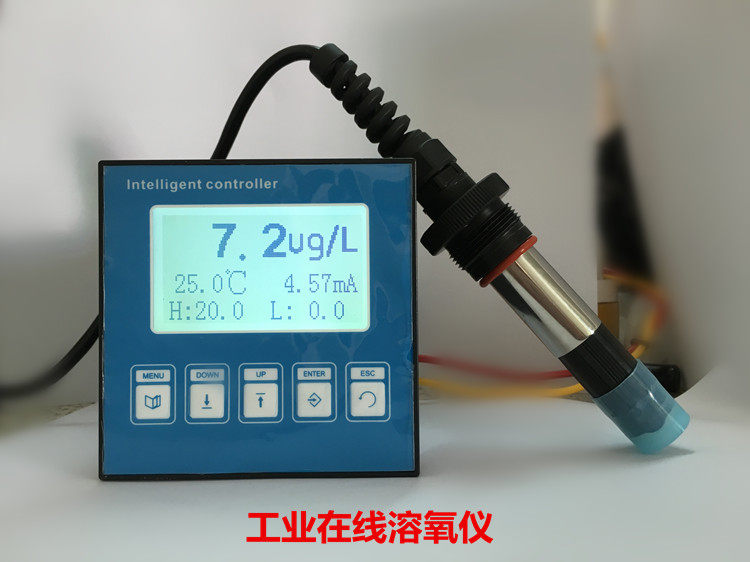 溶氧仪/工业溶氧仪/溶解氧测定仪/在线溶氧仪（污水、养殖）