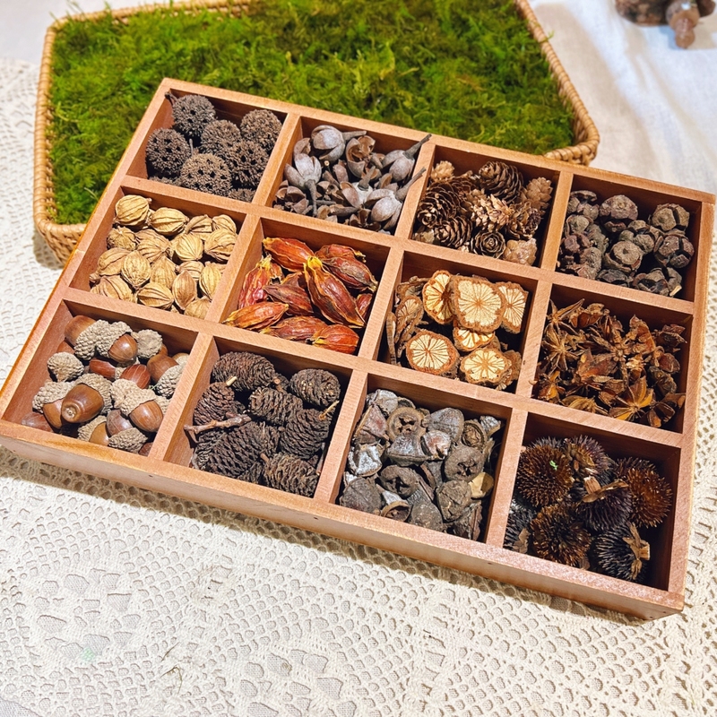 Parent-Child Handicraft Class Natural Dried Flowers Plants Pine Cones Acorns Moss DIY Wooden House Accessories Forest-Style Micro-Landscape Decoration