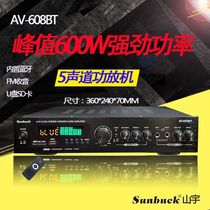 220v12V Home theater karaoke power amplifier 2 0 power amplifier USB SD card with radio dual microphone power amplifier