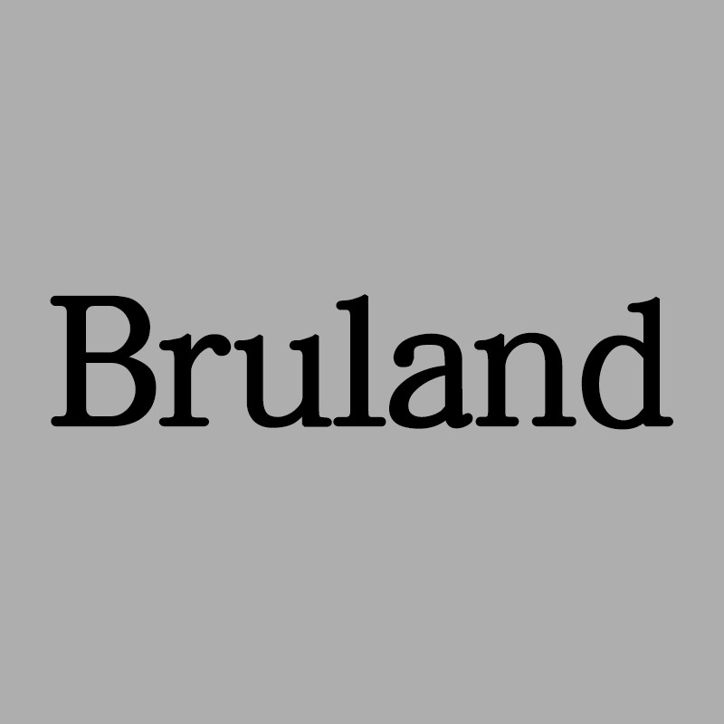 Bruland 简约轻奢的LOGO