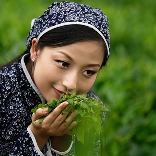 生手买普洱茶，先弄懂这几个问题！