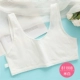 Yilanfen học sinh phát triển đồ lót thời kỳ mỏng phần vest cỡ lớn dài dài trường tiểu học trung học nữ bra - Now Bras