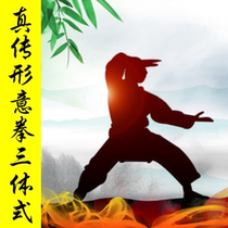 True legend Xingyi Quan three-body power skills and practical application of traditional martial arts Kung Fu Neijia Quan