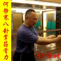 He Jinghan Baguazhang Stretching and Bone Pulling Training Method 31 lessons Traditional martial arts Neijia Boxing Secret biography of muscle and bone strength