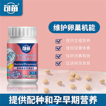 Sentence for a good pregnancy to prepare a pregnancy film pet dog breeds dog breeds multi-fetal vegetarian ovulation Pregnancy Cat Feelings Cat Love