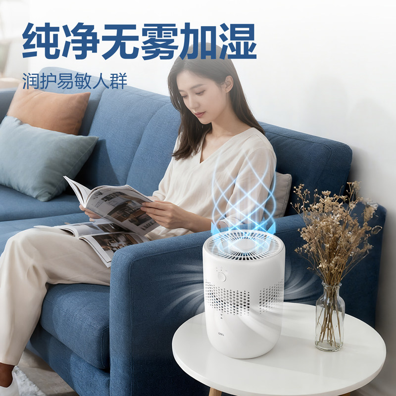 Deli Fog-Free Humidifier for Home Use, Suitable for Pregnant Women and Infants, Quiet and Antibacterial, Large Capacity, for Air-Conditioned Rooms, Heating Rooms, Air Humidification and Hydration, USB Portable, Small Size, for Office Desktop, Student Dormitory Use