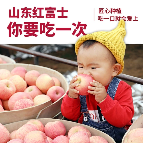 Яблочная фрукты яблока фрукты свежее время сезона Shandong Fruit 5 фунтов уродливой яблоки All Box Оптовая безналичная красная красная красный цвет 10