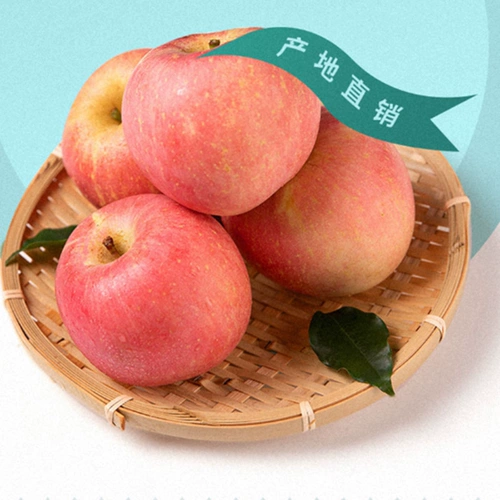 Яблоко яблоко yantai red fuji 5 фунтов свежих фруктов в сезон свежих фруктов Shandong da яблочная коробка оптом.