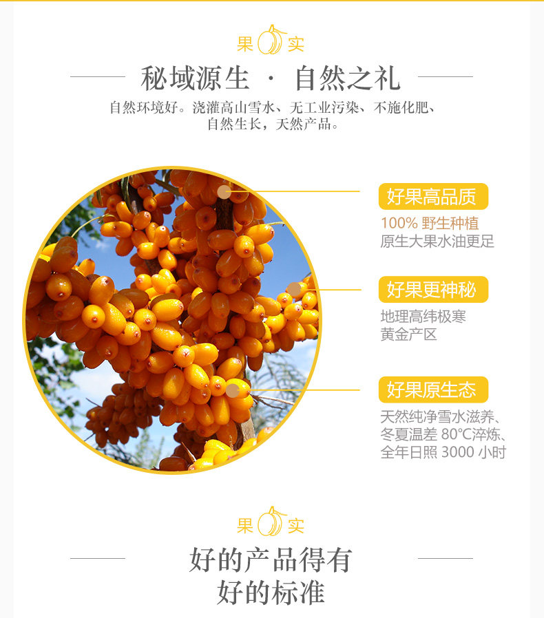 Tmall Custom Seabuckthorn Juice_02.jpg