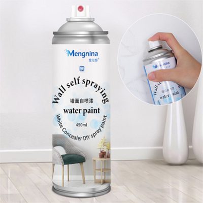 遮盖翻新防霉墙体清洁涂鸦污渍神器除霉剂