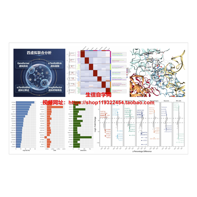 Four Virtual Analysis Frameworks (Virtual Perturbation + Virtual Knockout + Virtual Overexpression + Virtual Drug Screening)