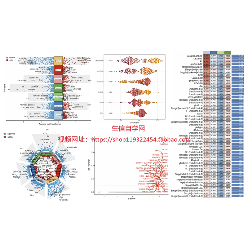 Mitoxyperilysis Bioinformatics Ideas (Mitochondrial Oxidative Membrane Rupture and Death Virtual Gene) Mitoxyperilysis Bioinformatics Ideas (Mitochondrial Oxidative Membrane Rupture and Death Virtual Gene)