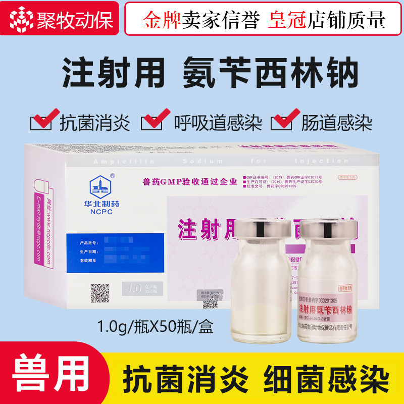 Veterinary drug North China Pharmaceutical Ampicillin sodium powder injection 1g penicillin 50 bottles of pigs, cattle and sheep to reduce fever and reduce inflammation