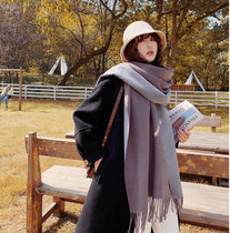 Korean new solid color double-sided imitation cashmere tassel scarf autumn and winter Joker thick warm bib shawl women