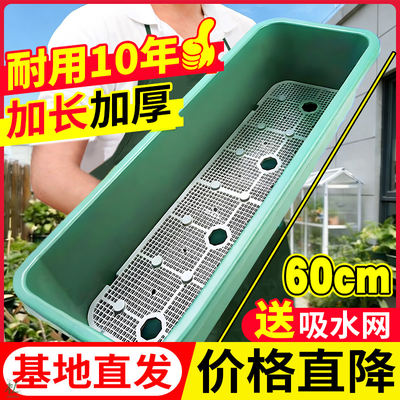 Rooftop vegetable-growing special box, foam box, vegetable-growing magic tool, vegetable planting box, succulent planting box, strawberry green plant special box