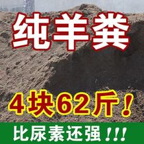 Fertilizer sheep manure 100 pounds farmyard manure vegetable green plant fruit trees nutritional soil flower cultivation general organic fertilizer chicken manure