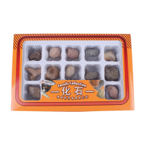 Natural fossils Marine animal and plant specimens Chinese version boxed student natural science teaching materials gift hot sale