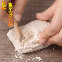 Natural ore excavation archaeological specimens mineral crystal rock fossils teaching specimens students Popular Science creative gifts